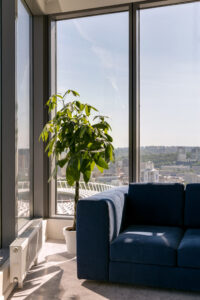 Interior photo